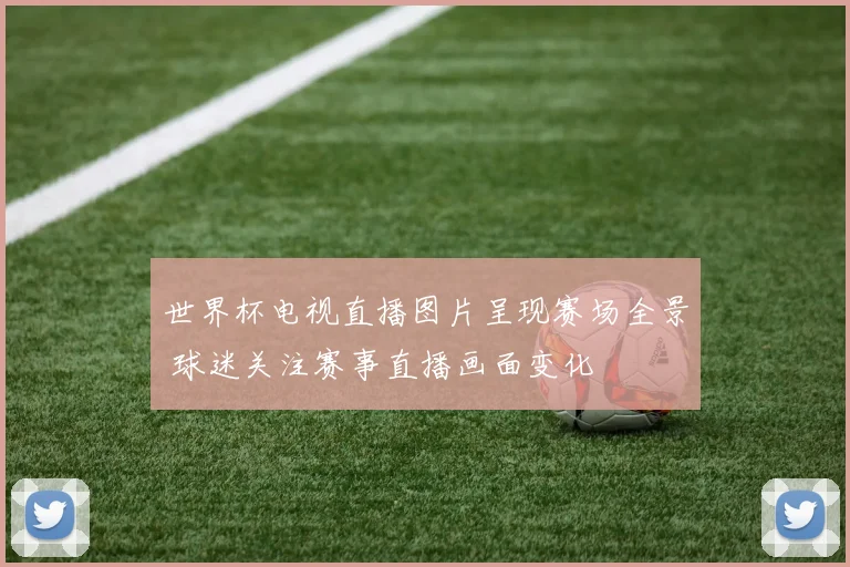 世界杯电视直播图片呈现赛场全景 球迷关注赛事直播画面变化