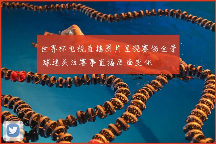 世界杯电视直播图片呈现赛场全景 球迷关注赛事直播画面变化