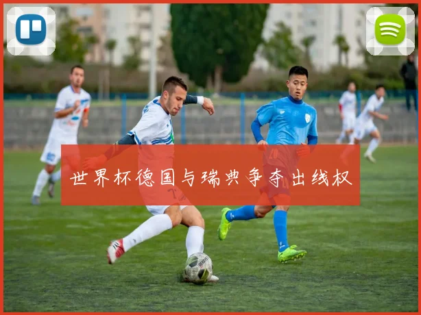 世界杯德国与瑞典争夺出线权