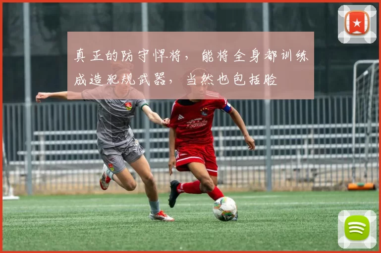 真正的防守悍将，能将全身都训练成造犯规武器，当然也包括脸