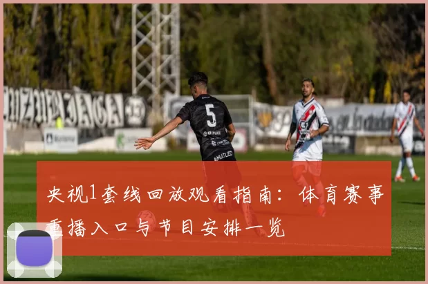 央视1套线回放观看指南:体育赛事重播入口与节目安排一览