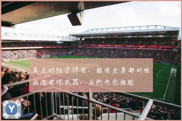 真正的防守悍将，能将全身都训练成造犯规武器，当然也包括脸